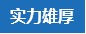 實力