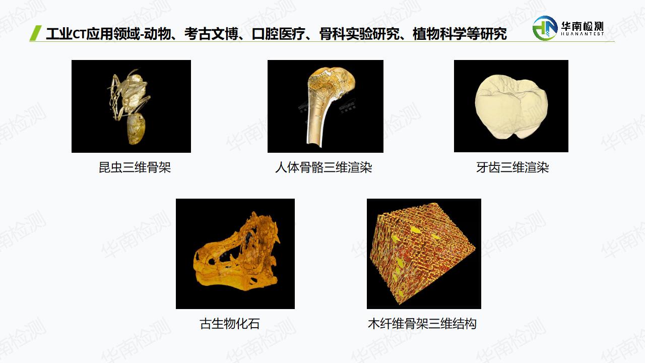工業CT掃描