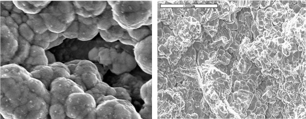 第三方電鏡(SEM/TEM)圖片