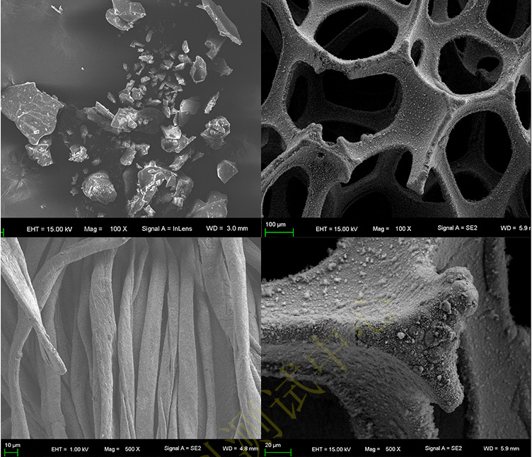 第三方電鏡(SEM/TEM)圖片案例