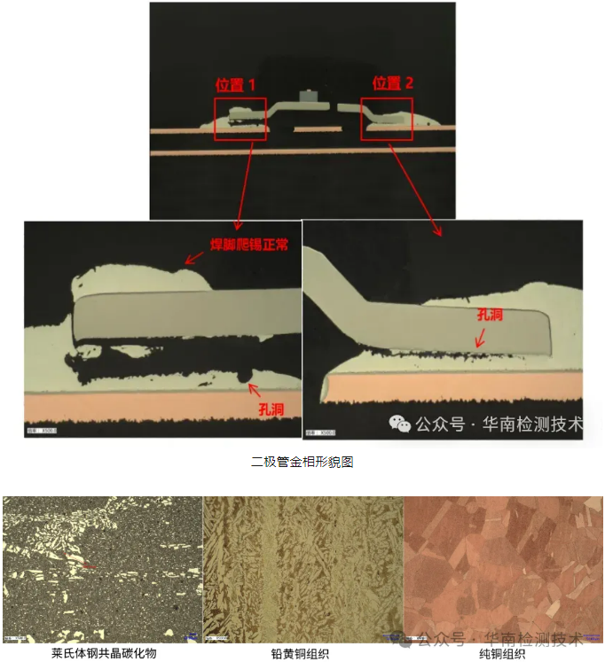 顯微結構分析