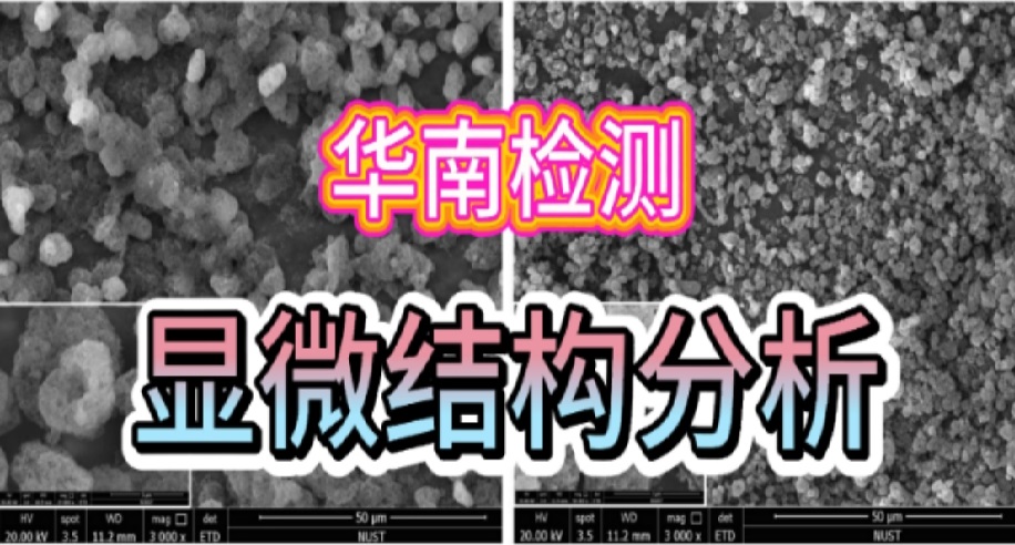 微信截圖_20240904113700.png