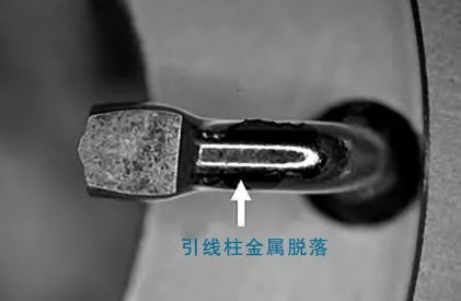 掃描電鏡測試