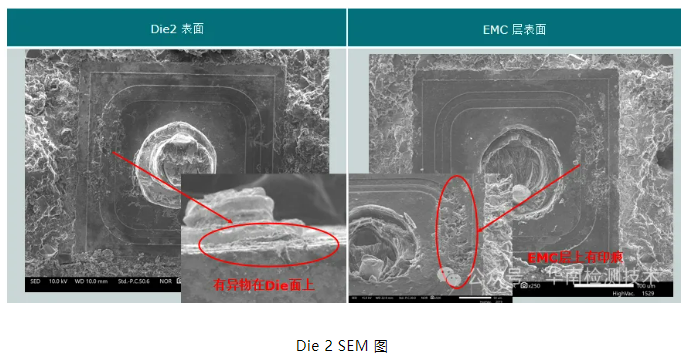 銀枝生長導致短路失效分析