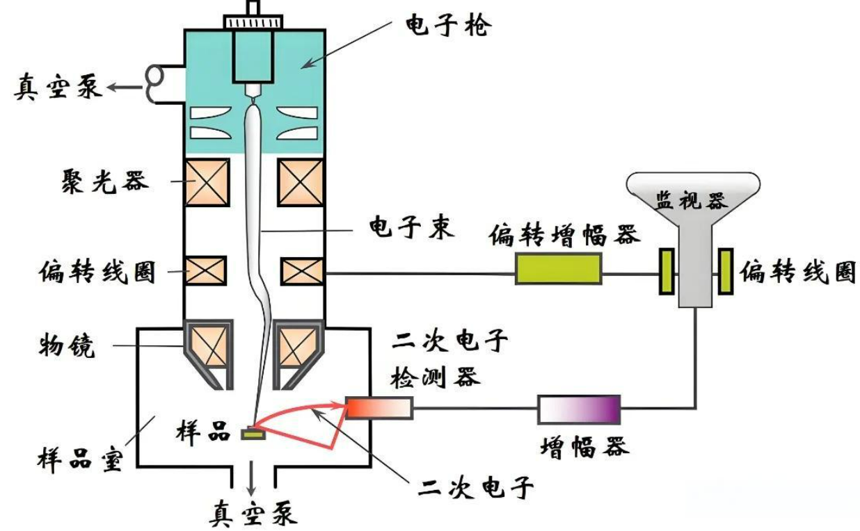 EDS能譜分析
